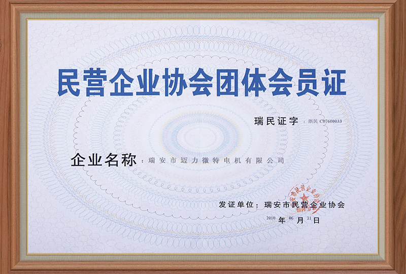 瑞安市民营企业协会团体证