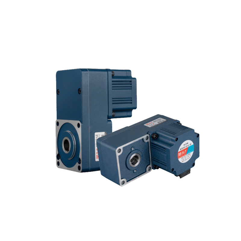 L Type DC Brushless Gear Moto 